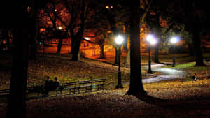 夜晚，兩個人坐在公園長椅上，在街燈下，被落葉包圍。 — 秋天 壁紙