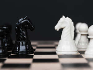 黑白國際象棋騎士在棋盤上互相面對。 — 國際象棋 壁紙