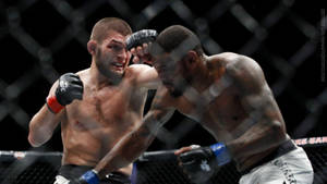 兩名男性MMA拳手在八角籠內比賽中互相出拳。 — 搏擊會 GIF 壁紙