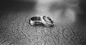 破裂皮革表面上的兩枚結婚戒指，黑白。 — 低飽和度 壁紙