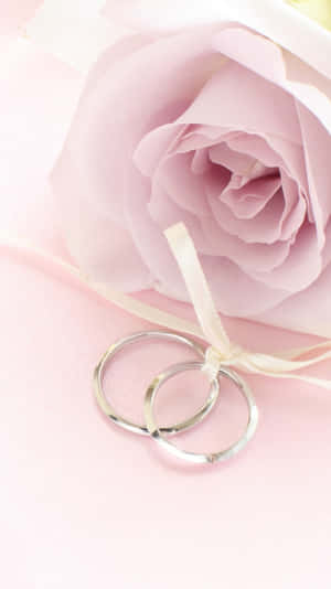 兩枚銀色結婚戒指旁邊有一朵粉紅玫瑰，帶有奶油色絲帶。 — 玫瑰金 iPhone 壁紙