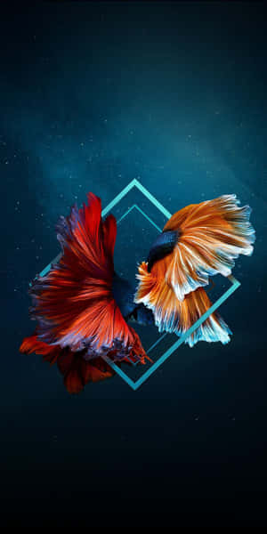 兩條色彩繽紛的鬥魚，擁有流動的魚鰭，在帶有發光幾何形狀的宇宙空間中游動。 — Pixel 3 壁紙