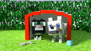 兩隻Minecraft貓咪在草地像素世界中的紅色拱門下，附近有工具。 — 狼 壁紙