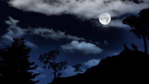 兩隻狼在滿月和星空下的山丘上嚎叫。 — 月色夜空 壁紙