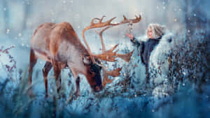 女士在雪地森林中觸摸馴鹿鹿角