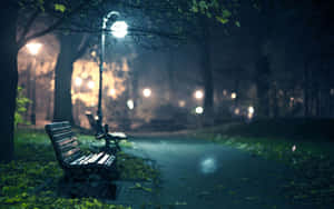 霧氣瀰漫的公園夜晚，發光街燈和落葉旁的木凳。 — 夜晚 GIF 壁紙