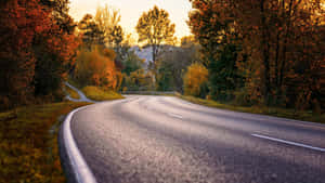 金色日落中穿過秋林的蜿蜒道路