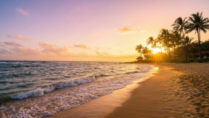 熱帶海灘上的夕陽，有棕櫚樹和輕柔的海浪