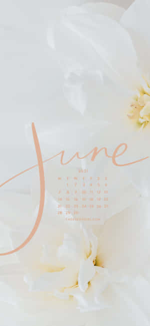 2021年6月日曆，蜜桃色文字在白色花卉背景上。