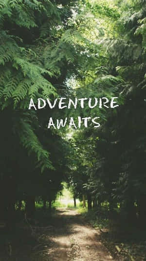 一條兩旁高樹的森林小徑，帶有 adventure awaits 文字