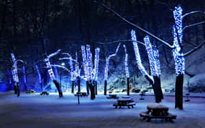冬夜公園中，在閃爍藍色燈光下的積雪野餐桌。