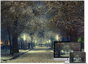 夜晚積雪公園小徑，閃爍街燈與霜凍樹木。