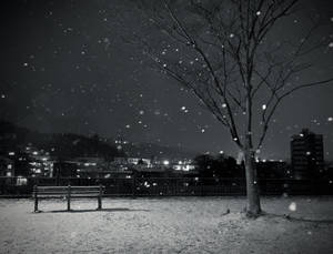夜間城市中，雪花落在光禿禿的樹下的長椅上。