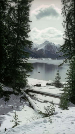 白雪覆蓋的山間湖泊，四周是常青樹，天空多雲。
