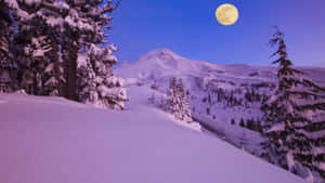暮色中滿月下的雪山山谷。