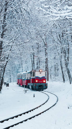 冬日裡，一列紅白相間的火車在白雪覆蓋的森林中行駛。