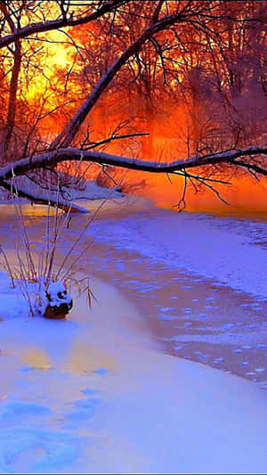 夕陽下白雪覆蓋的河岸，光禿的樹木在橙色光芒中閃耀。 — 冬日美學 壁紙