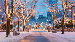 夜晚積雪的城市公園，樹木被照亮，中央有一座雕像。
