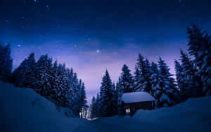 星空下冬季森林中的雪屋