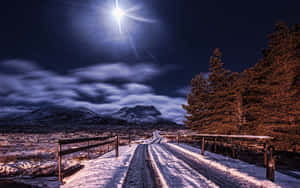 夜晚雪路，明亮的月亮下，有松樹和山脈。