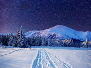 星空下雪覆蓋的山路與松樹
