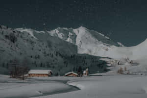 白雪覆蓋的山村，星空下木屋和松樹。