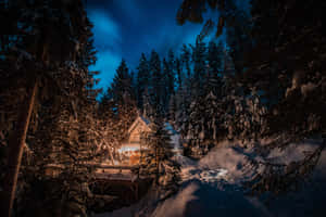 冬季森林中積雪覆蓋的小屋，夜晚散發溫暖光芒。