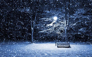夜晚，積雪覆蓋了公園長椅，下方是明亮的街燈。