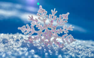 一片細節豐富的雪花，帶有粉紅色閃粉，躺在明亮的藍天下雪地上。