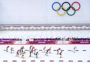 運動員在索契2014年奧運會的冬季滑雪比賽中競爭。