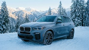 灰色BMW X5 SUV停泊在雪地森林中，背景是白雪覆蓋的山脈。