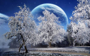 結霜的樹木在星空下，背景是一顆巨大的藍色行星。