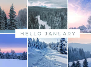 冬季森林場景，有雪和暮色天空。 — 新年動畫 壁紙