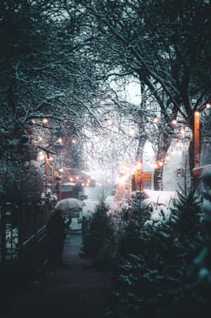 夜晚在燈串下的雪地中行走的人 — 美麗聖誕 壁紙