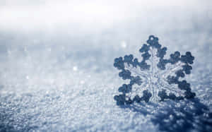 一片細節豐富的雪花躺在冬日陽光下的雪地上。