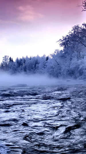 結冰的河流，霧氣在灑滿雪花的樹木間升起。