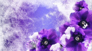 在薰衣草紋理背景上帶有霜白點綴的紫色花朵。 — 冬季 壁紙