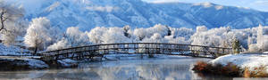 雪橋橫跨河流，有結霜的樹木和山脈在後 — 冬季 壁紙