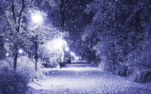 夜晚街燈照亮積雪的公園小徑。 — 冬天桌面 壁紙