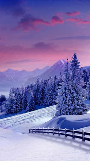 白雪覆蓋的山景，松樹和圍欄，粉紫色黃昏天空下。