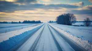 一條長長的雪路，兩旁是雪堆和光禿禿的樹木，在多雲的天空下，金色的日落光芒照耀著。 — 天氣 壁紙