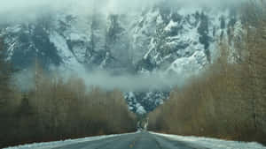 蜿蜒的道路穿過冬季森林，通向霧中的雪山。