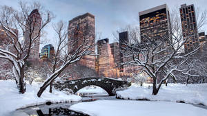 冬季城市公園中積雪覆蓋的橋樑和樹木，背景是燈火通明的摩天大樓。