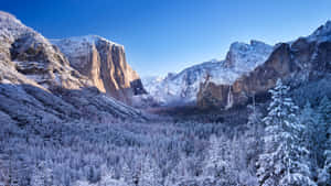 白雪覆蓋的山脈和森林，在清澈的藍天下