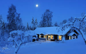 積雪的小屋，在冬季森林中月光下透出溫暖的燈光。