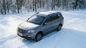 冬季白天，灰色SUV停在雪林裡。
