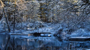 寧靜冬季森林中，結冰湖泊上的雪橋。