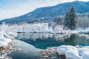 晴朗冬日，白雪覆蓋的松樹和山脈倒映在碧綠的湖面上。