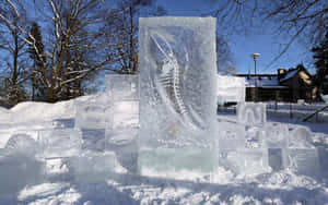 陽光明媚的冬日，雪地公園中的魚和貝殼冰雕。 — 冰 GIF 壁紙