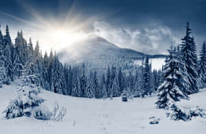 積雪的山林，陽光穿透雲層 — 森林 壁紙